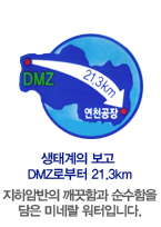 DMZ 21.3km
